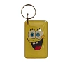 Ключ домофонный Спанч боб привязкой к подъезду.